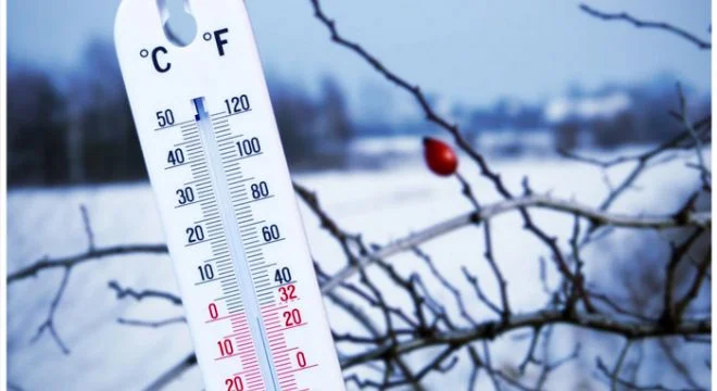VZDPO1613724139albom_rooms (1)