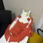 Home 2 WhatsApp Image 2026 03 23 at 11.50.30