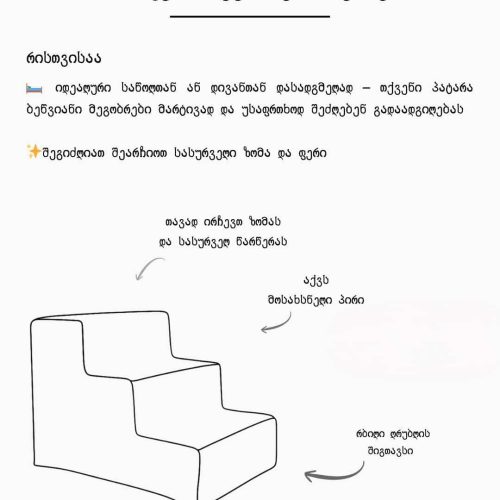 ოთხფეხა მეგობრების კიბე